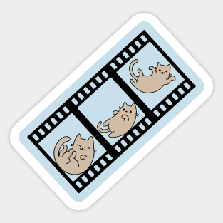 Cat slide three frames photography Sticker